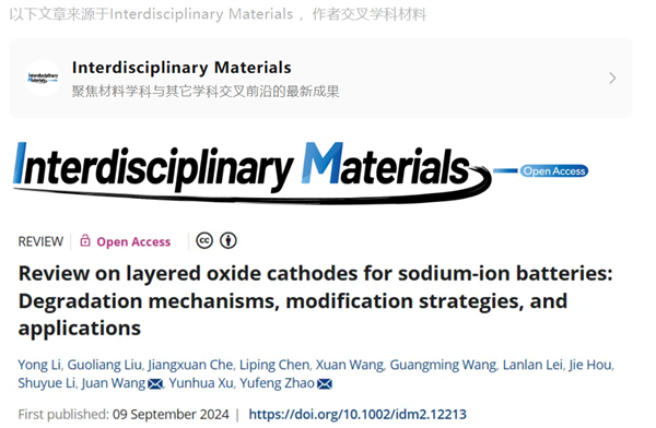 上海大學趙玉峰團隊IM綜述：鈉離子